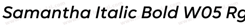 Samantha Italic Bold W05 Rg Regular字体转换